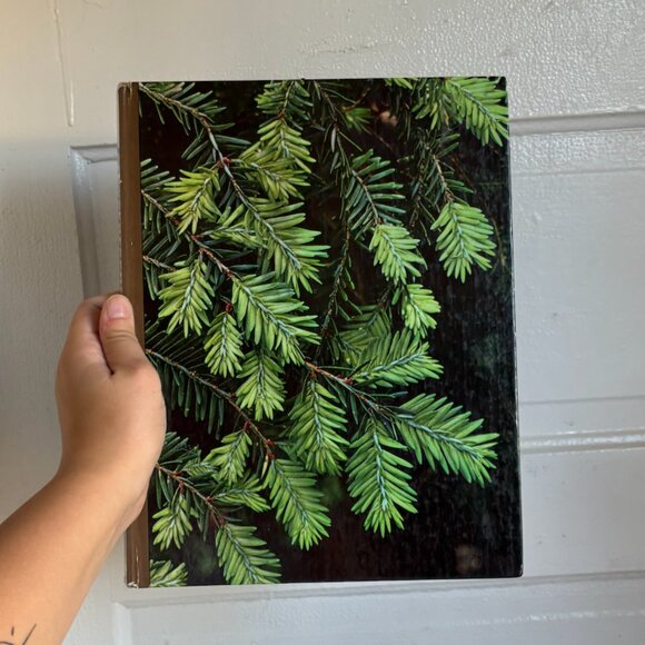 Vintage Evergreens Hardback Coffee Table Book - Picture 1 of 12